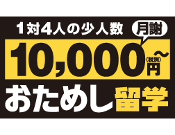ポッキリ留学