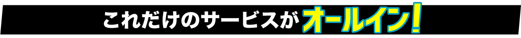 これだけのサービスがオールイン！