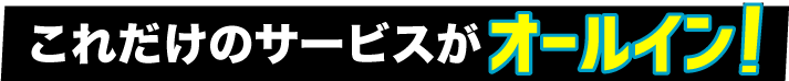 これだけのサービスがオールイン！