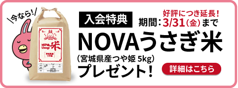 入会特典：NOVAうさぎ米プレゼント