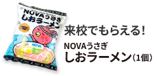 来校でもらえる NOVAうさぎしおラーメン
