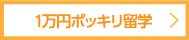 1万円ポッキリ留学