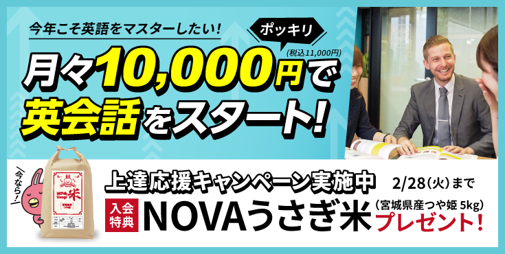 NOVAうさぎ大革命宣言！