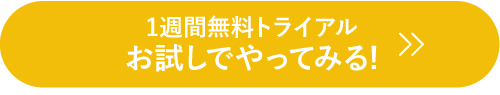 今すぐやってみる 申し込みボタン