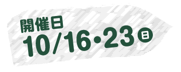 開催日：10/16・10/23(日)