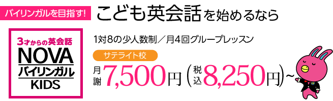 料金