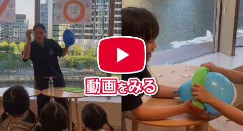 動画をみる