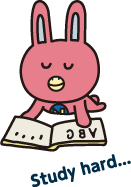 NOVAうさぎイメージ03