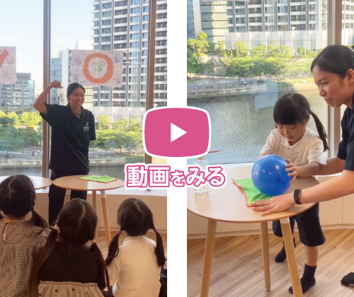 動画をみる