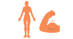 Wonders of the body