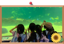 サマースクールイメージ3