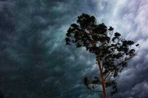 「天気がおかしい」は英語で何と言う？