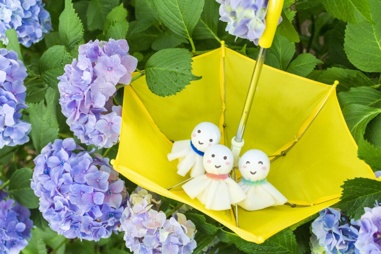 「梅雨」は英語で何と言う？