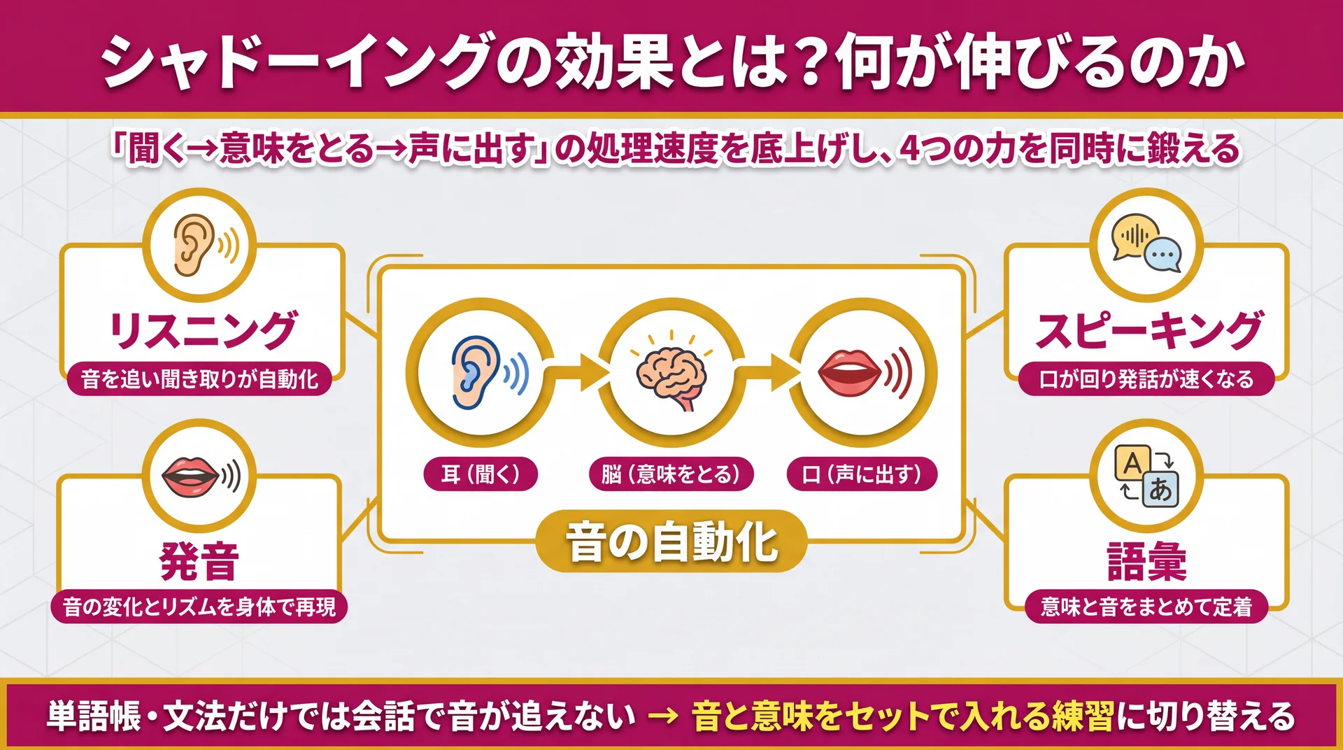 シャドーイングが「聞く→意味→声」の処理速度を底上げしリスニング・発音・スピーキング・語彙を同時に鍛える仕組みを示した図解