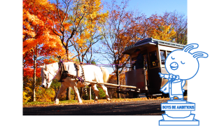 北海道開拓の村