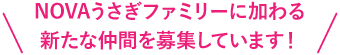 NOVAうさぎファミリーに加わる新たな仲間を募集しています