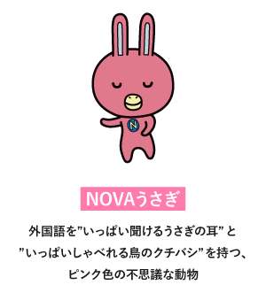 NOVAうさぎ
