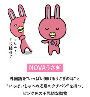 NOVAうさぎ