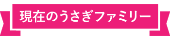 現在のうさぎファミリー