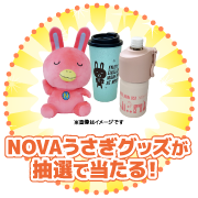 NOVAうさぎグッズ当たる！