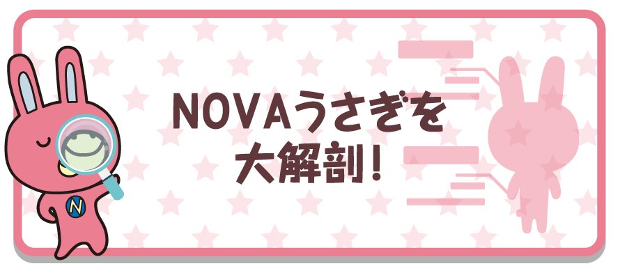 NOVAうさぎを大解剖。