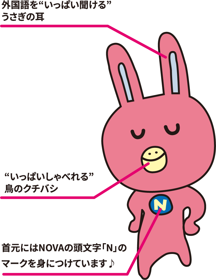 NOVAうさぎ