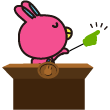 novaうさぎ