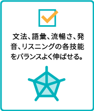 文法、語彙、流暢さ、発音、リスニングの各技能をバランスよく伸ばせる。