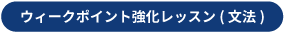 ウィークポイント強化レッスン(文法)