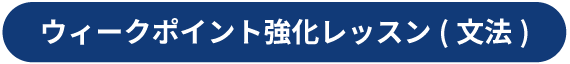 ウィークポイント強化レッスン(文法)