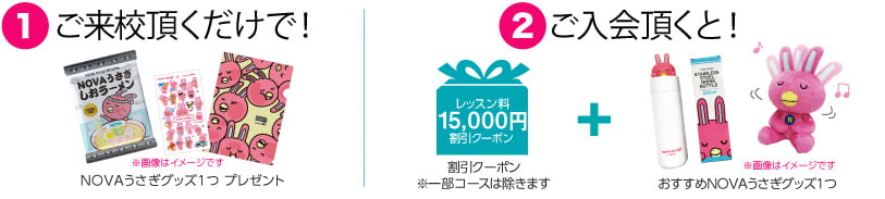 ご来校頂くだけで！NOVAうさぎグッズ1つプレゼント　期間内にご入会頂くと！割引クーポン+おすすめNOVAうさぎグッズ1つ