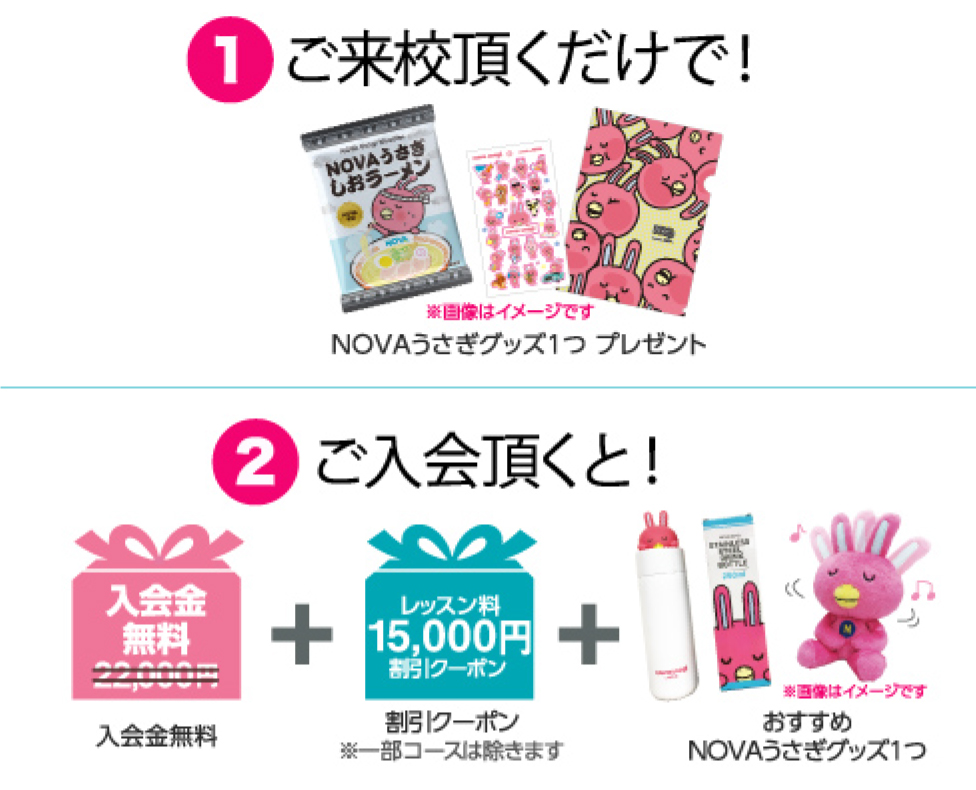 ご来校頂くだけで！NOVAうさぎグッズ1つプレゼント　期間内にご入会頂くと！入会金無料+割引クーポン+おすすめNOVAうさぎグッズ1つ