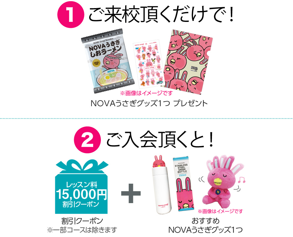 ご来校頂くだけで!NOVAうさぎグッズ1つプレゼント 期間内にご入会頂くと!割引クーポン+おすすめNOVAうさぎグッズ1つプレゼント!