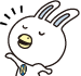 白うさぎ