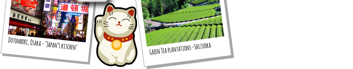 Dotonbori, Osaka - 'Japan's kitchen',Green Tea plantations -Shizuok